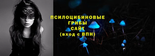 ПСИЛОЦИБИНОВЫЕ ГРИБЫ Пролетарск