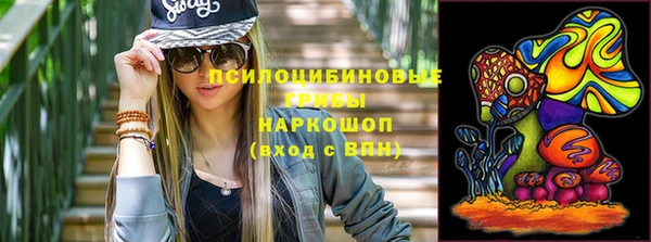 Альфа ПВП Верея